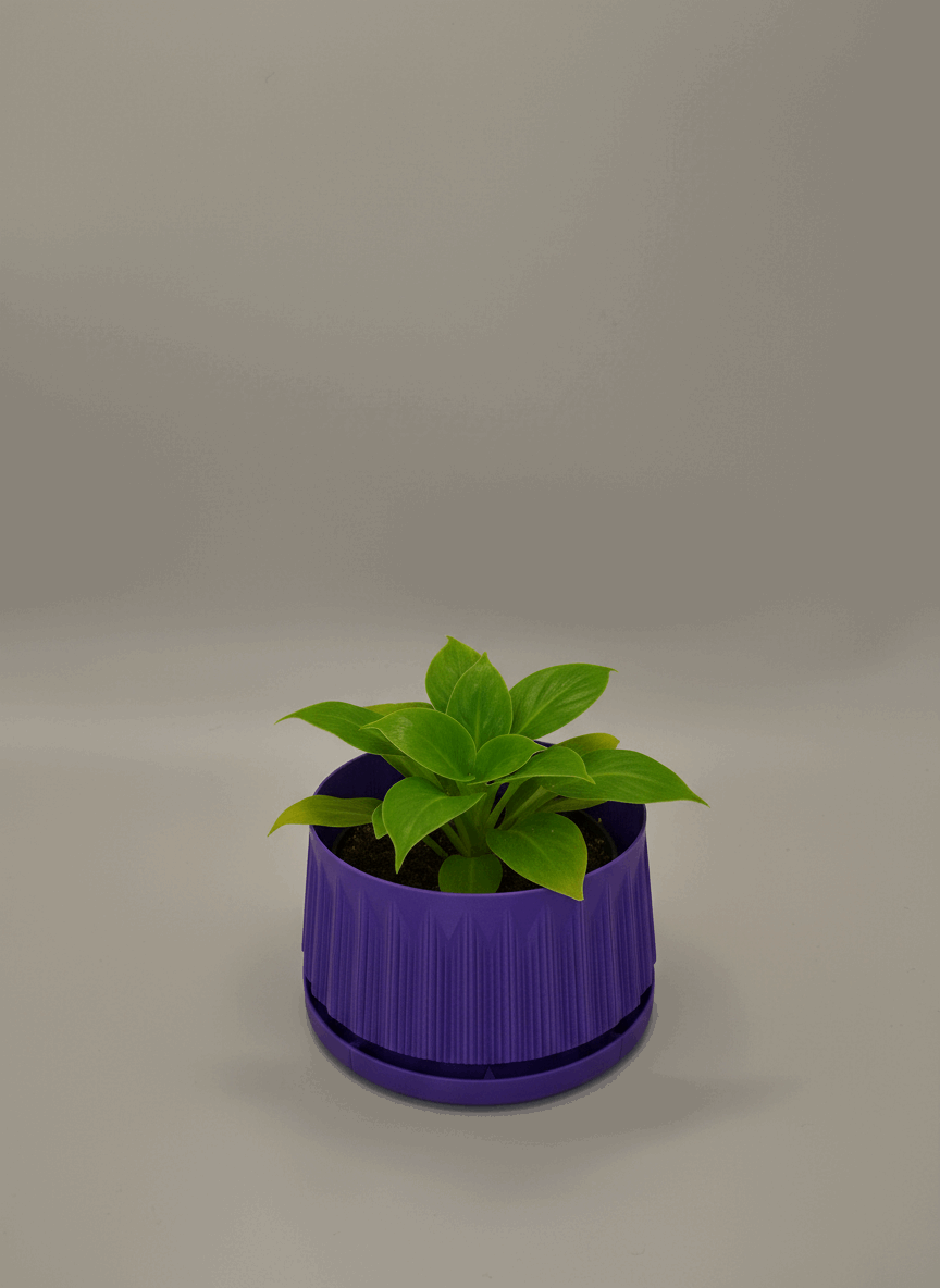 Striped Pillar Starter Planter with Drainage - Toys Decor & More