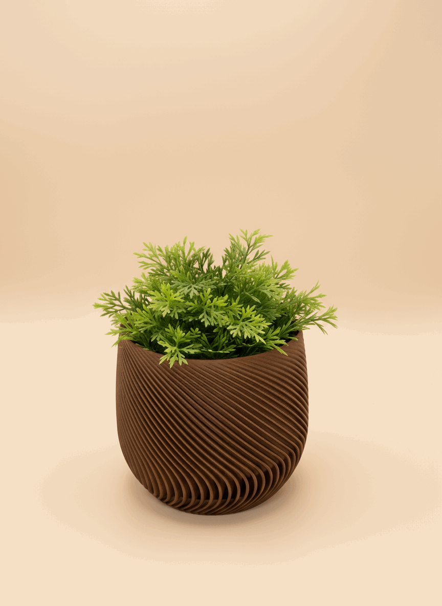 Spiral Style Starter Planter with Drainage - Toys Decor & More