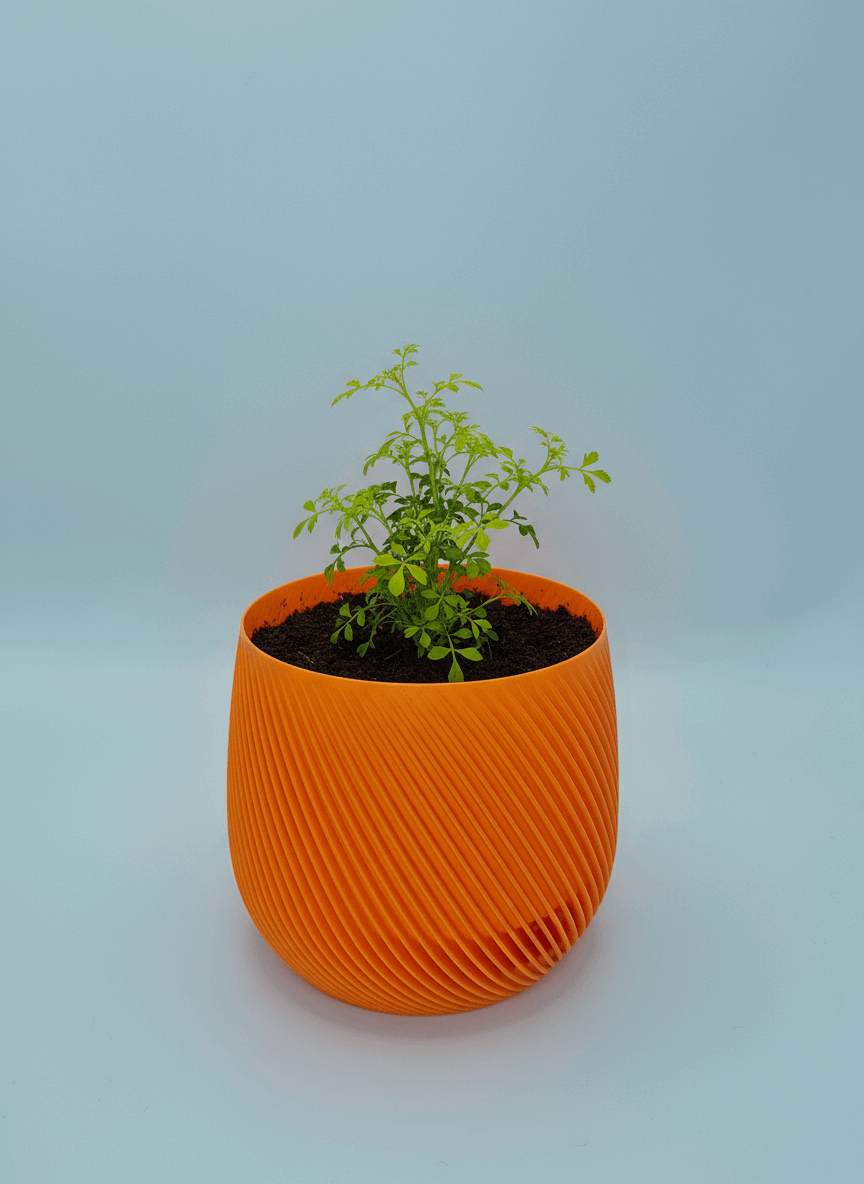 Spiral Style Starter Planter with Drainage - Toys Decor & More