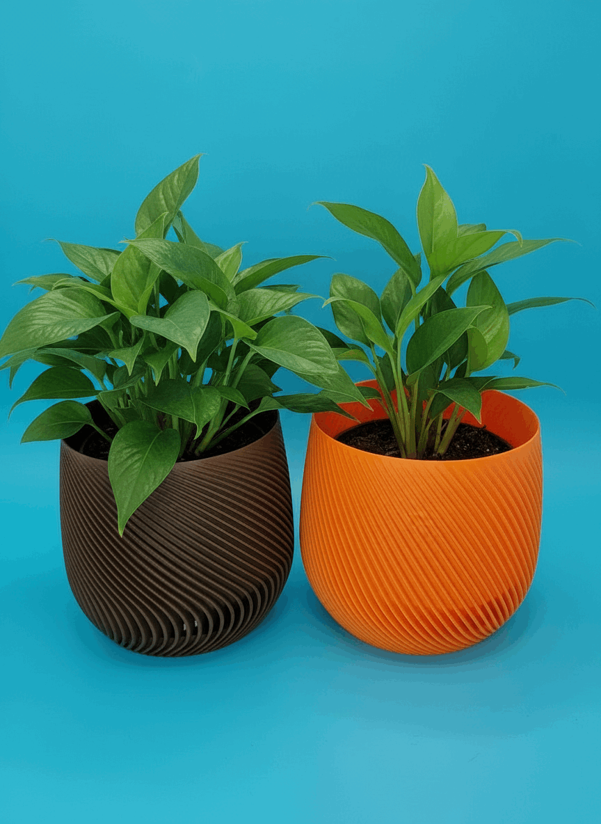 Spiral Style Starter Planter with Drainage - Toys Decor & More