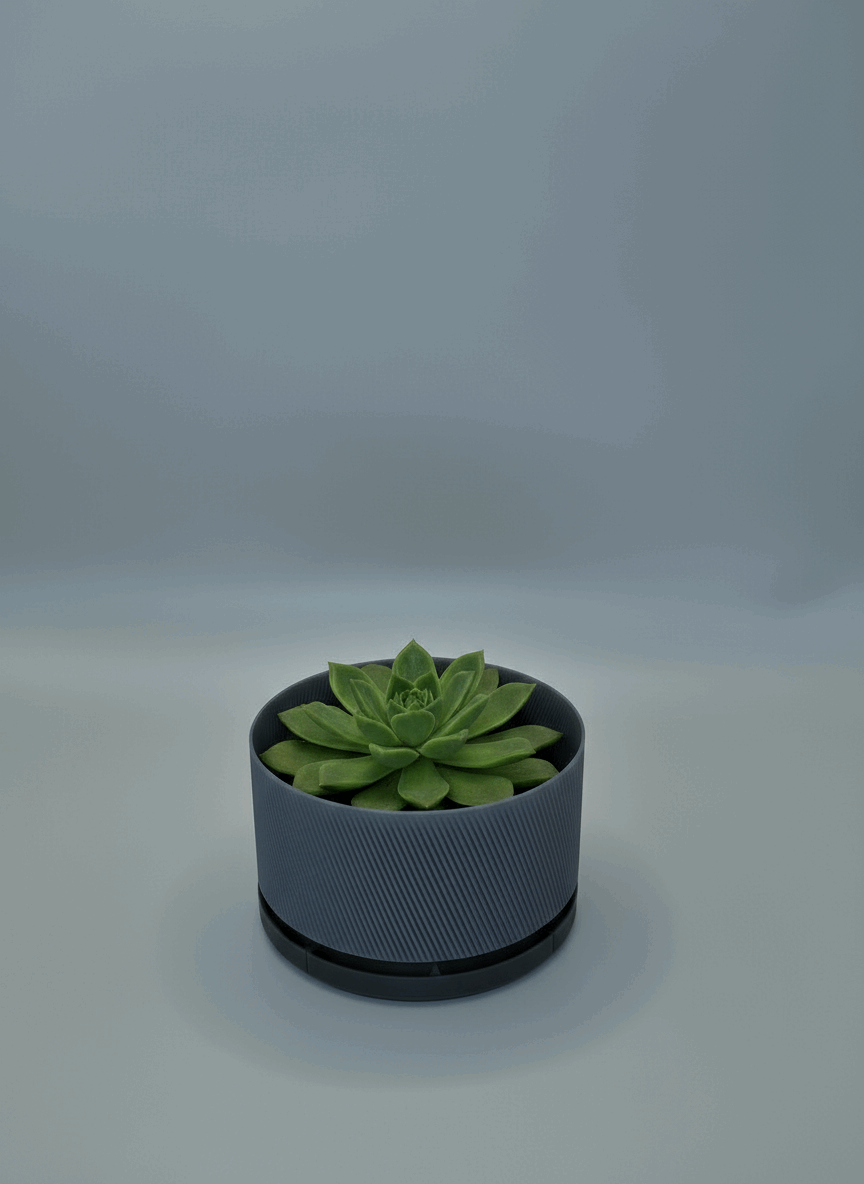 Diagonal Stripe Fanned Starter Planter with Drainage - Toys Decor & More