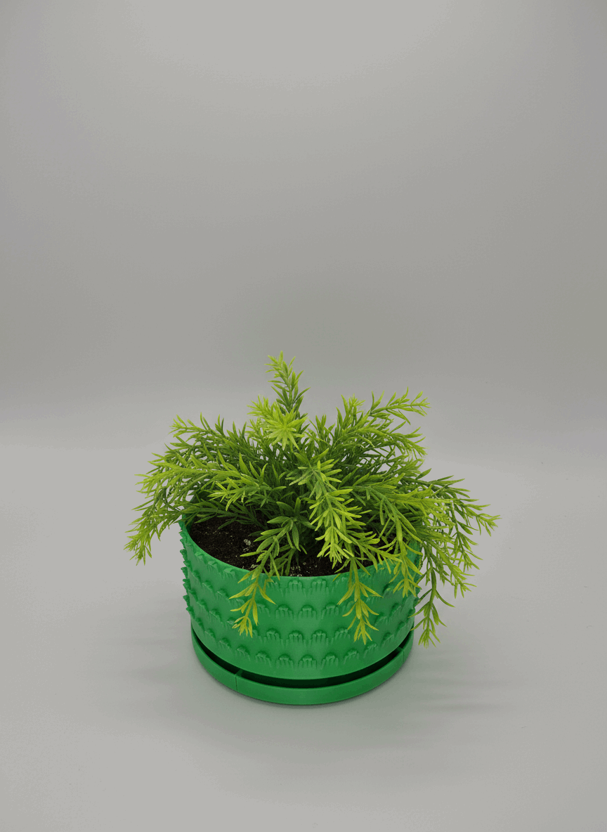 Petal Pattern Starter Planter with Drainage - Toys Decor & More