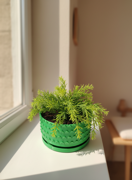 Petal Pattern Starter Planter with Drainage - Toys Decor & More