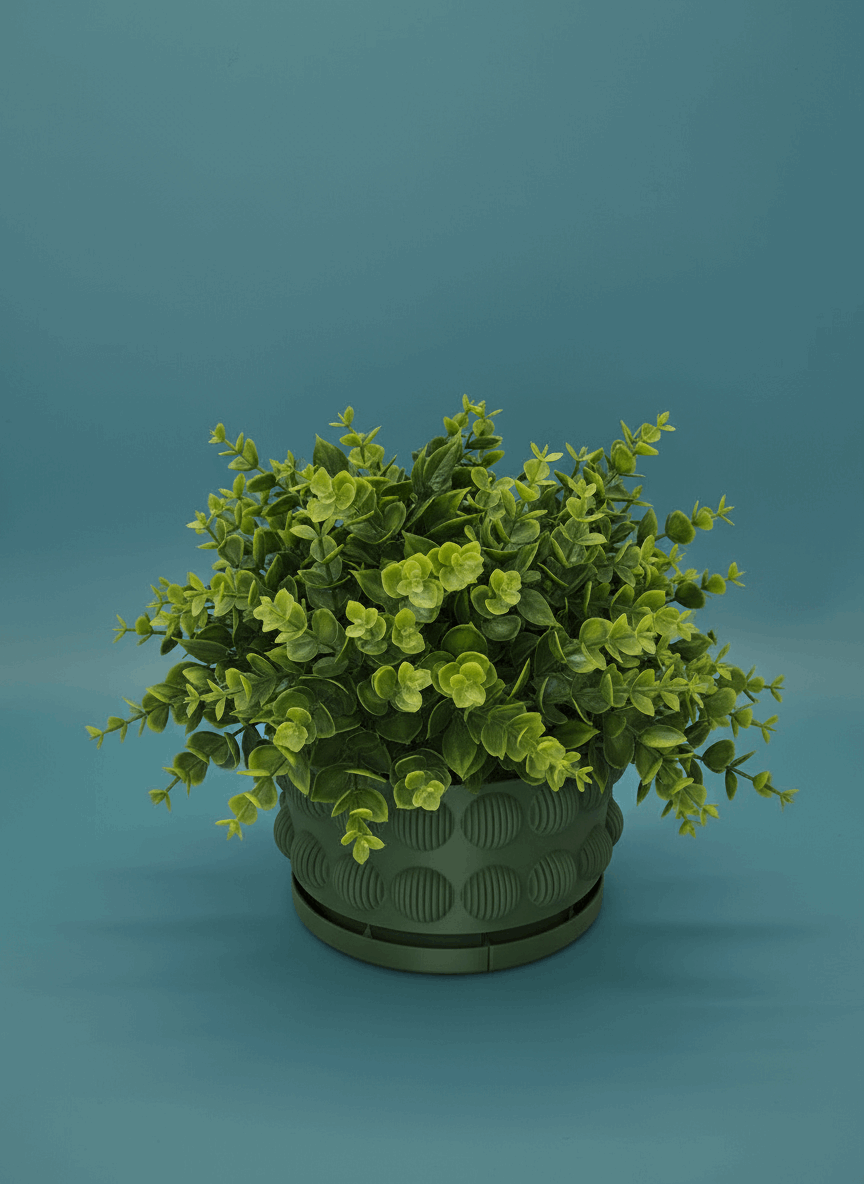 Bubble Starter Planter with Drainage - Toys Decor & More