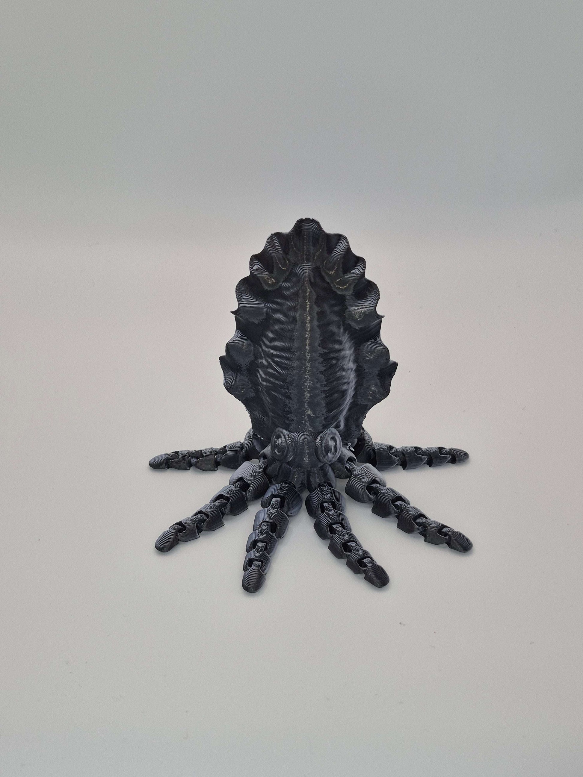 Articulated Cuttlefish Toy - Toys Decor & More