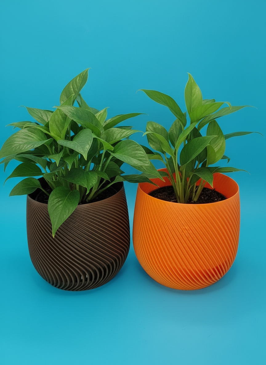 Spiral Style Starter Planter with Drainage - Toys Decor & More