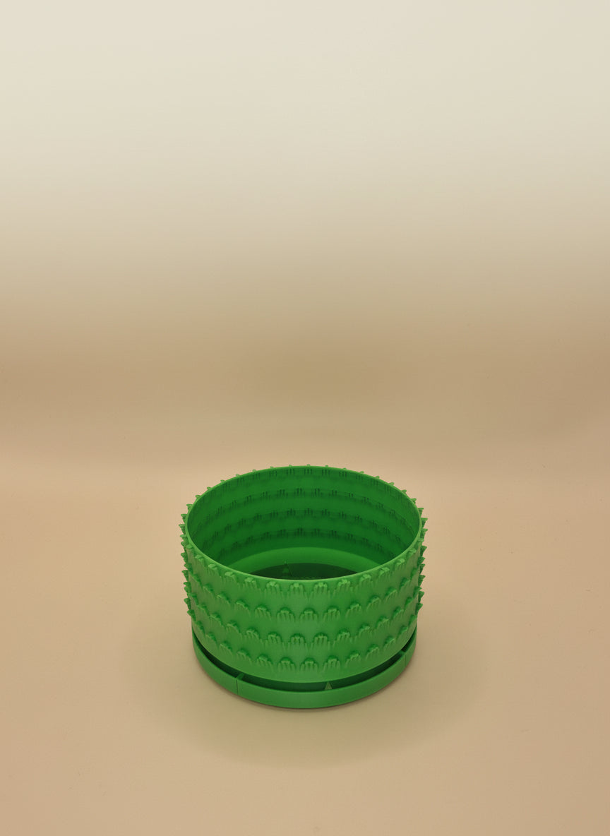 Petal Pattern Starter Planter with Drainage - Toys Decor & More