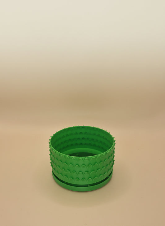 Petal Pattern Starter Planter with Drainage - Toys Decor & More