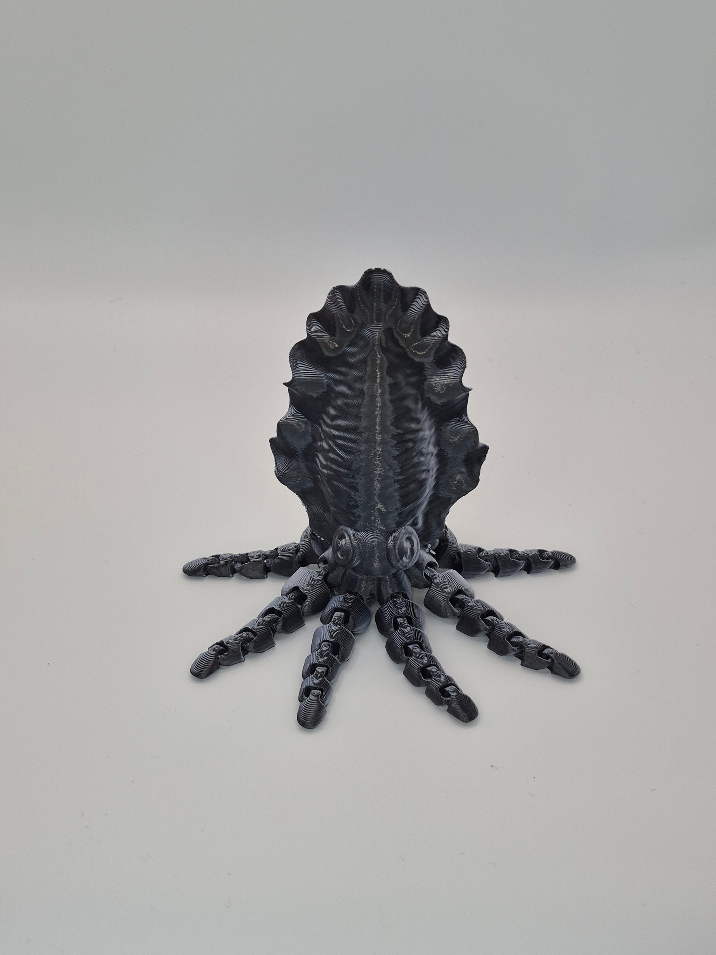 Articulated Cuttlefish Toy